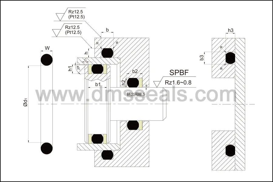 spring hydraulic o-ring seal seal DMS Seal Manufacturer 2