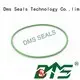 oil seal ring seal o-ring seal DMS Seal Manufacturer Brand 1
