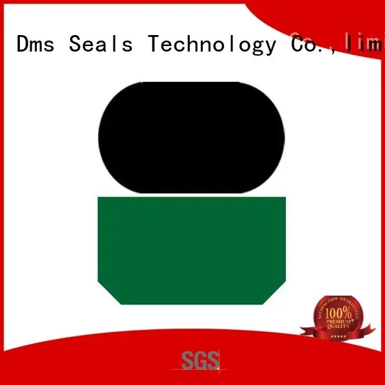 DMS Seal Manufacturer Brand nbrfkm oring seal hydraulic rod seals rod 1
