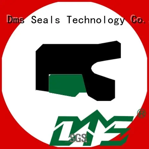Quality DMS Seal Manufacturer Brand oring seal rod seals 1