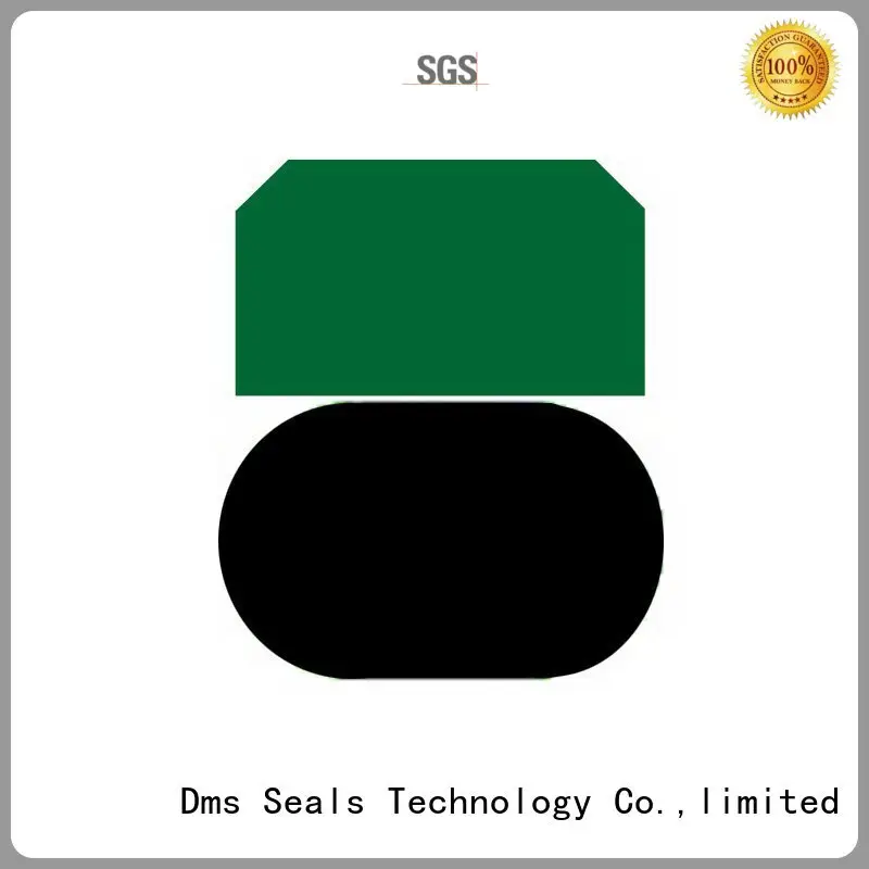 Quality DMS Seal Manufacturer Brand piston piston seals 1
