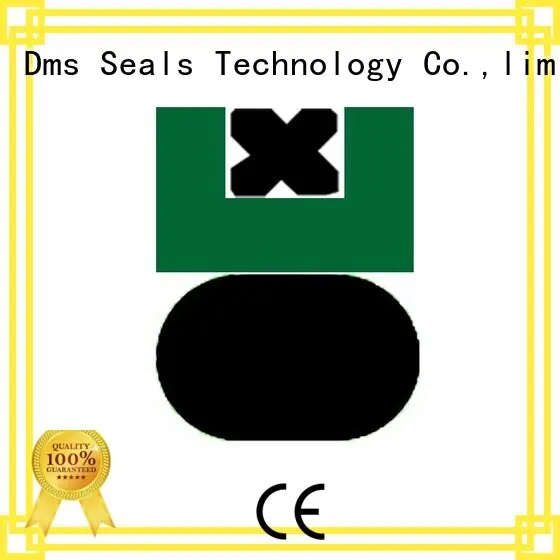 ptfe seal hydraulic piston seals nbrfkm DMS Seal Manufacturer 1