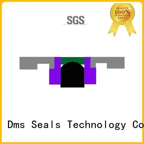 pneumatic piston seals oring ptfe seal DMS Seal Manufacturer Brand 1