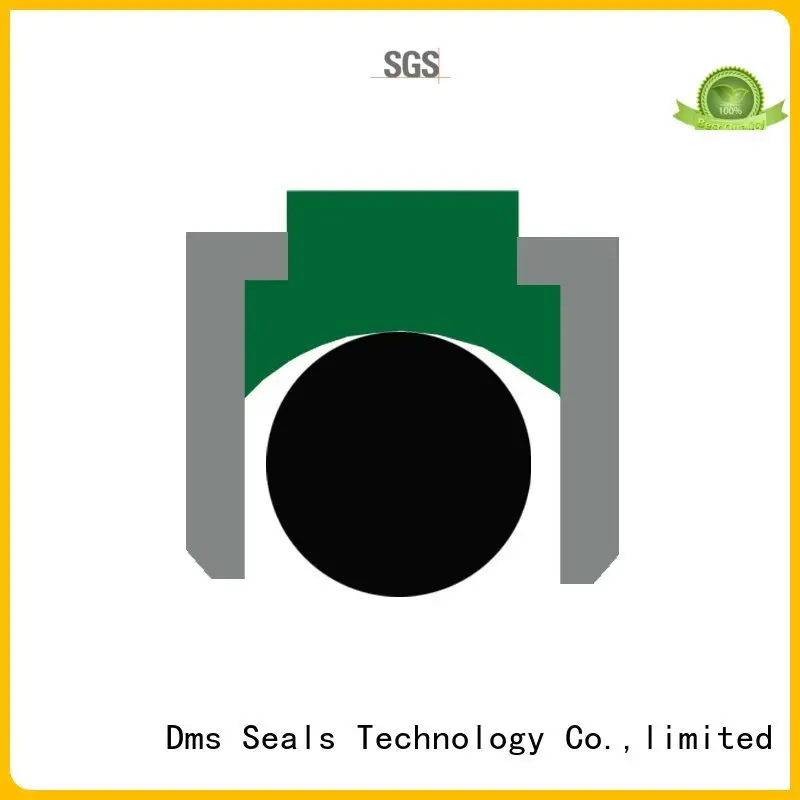 DMS Seal Manufacturer Brand ptfe hydraulic pneumatic piston seals 1