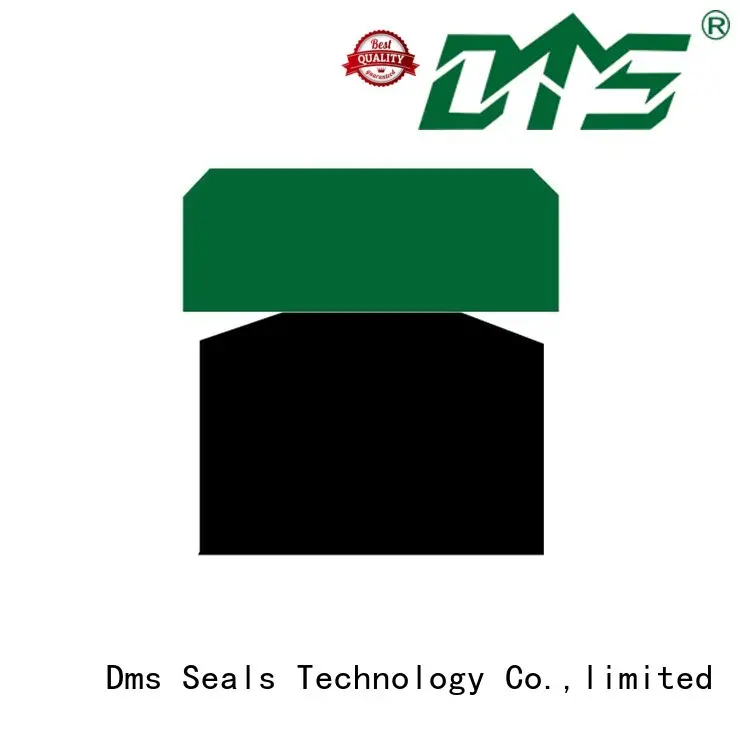 Custom seal hydraulic piston seals DMS Seal Manufacturer ptfe 1