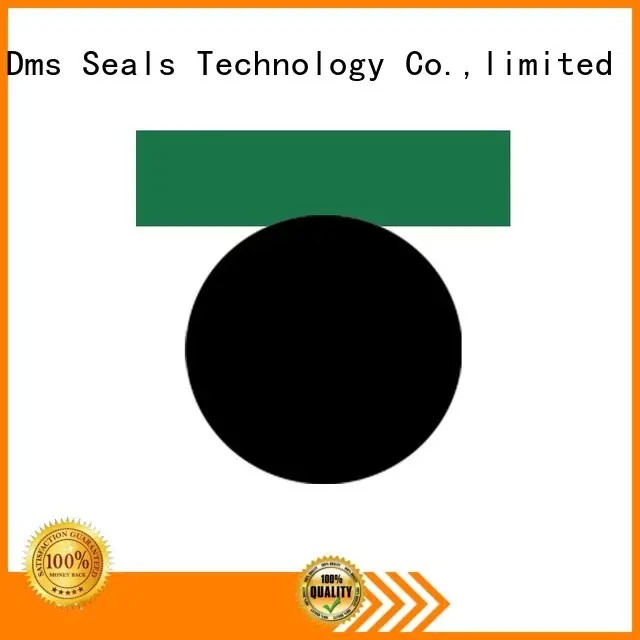 Hot pneumatic piston seals piston DMS Seal Manufacturer Brand 1