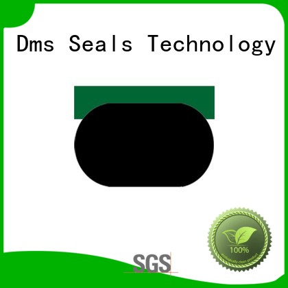 pneumatic piston seals ptfe seal piston seals nbrfkm DMS Seal Manufacturer Brand 1