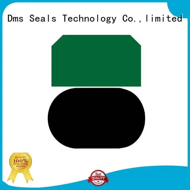 oring nbrfkm seal OEM piston seals DMS Seal Manufacturer 1