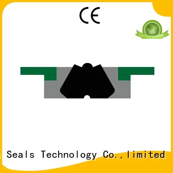 seal hydraulic oring nbrfkm piston seals DMS Seal Manufacturer 1