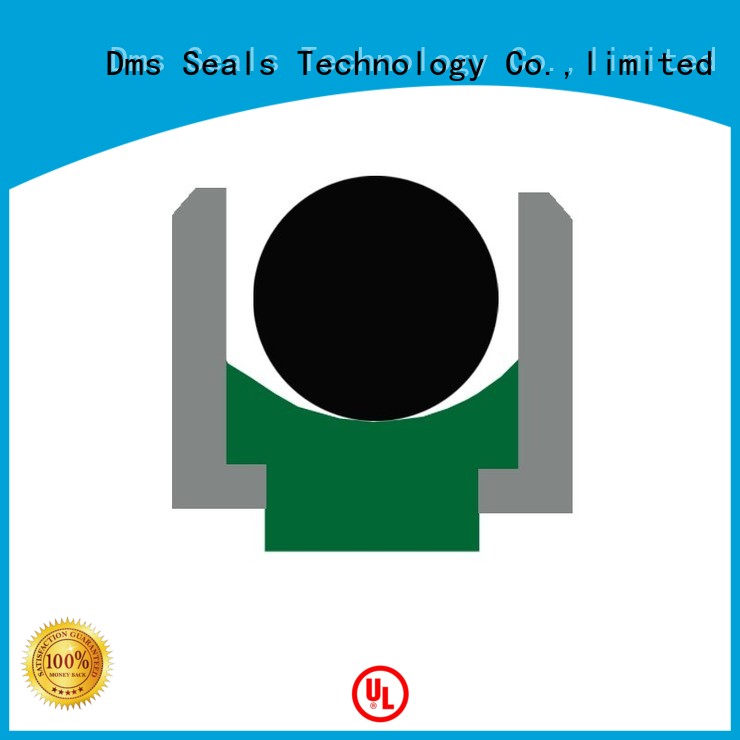 rod oring hydraulic rod seals DMS Seal Manufacturer manufacture 1