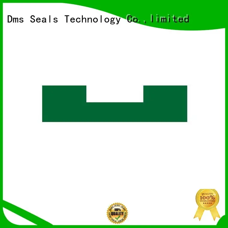 DMS Seal Manufacturer Brand hydraulic element bearing element manufacture 1