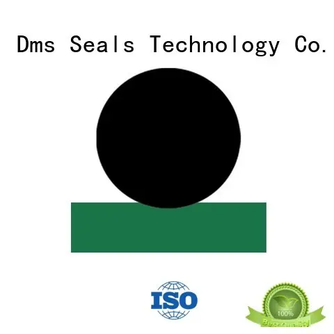 DMS Seal Manufacturer Brand oring hydraulic seal custom hydraulic rod seals 1