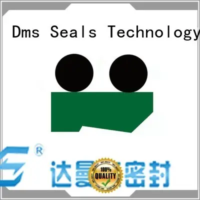 oring ptfe scraper seals nbrfkm DMS Seal Manufacturer 1