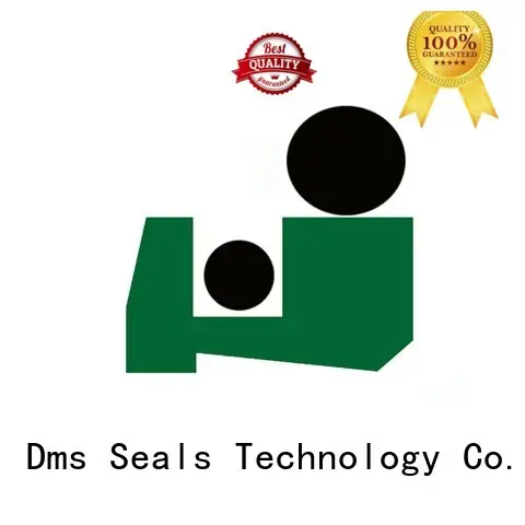 DMS Seal Manufacturer Brand hydraulic oring hydraulic wiper seals 1