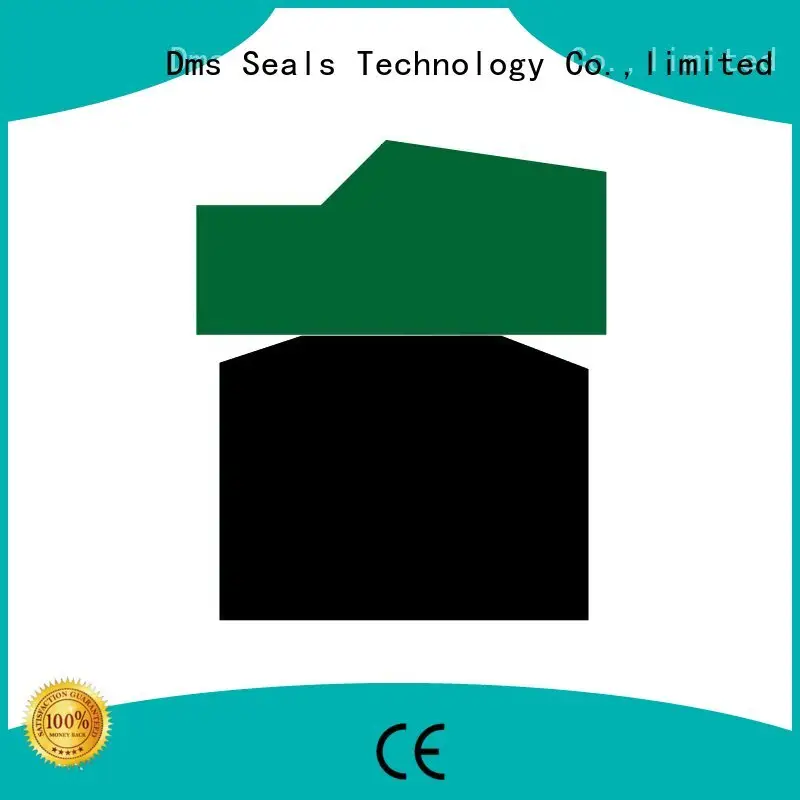 Custom piston piston seals ptfe DMS Seal Manufacturer 1