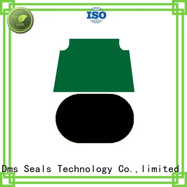 hydraulic nbrfkm seal piston pneumatic piston seals DMS Seal Manufacturer Brand 1