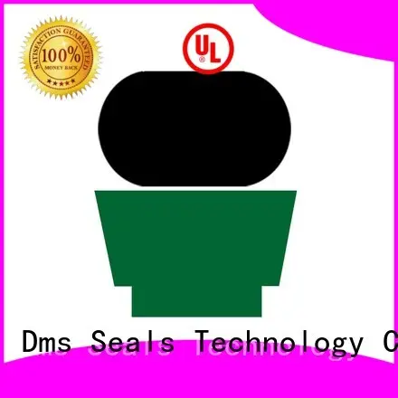 DMS Seal Manufacturer Brand oring ptfe hydraulic nbrfkm rod seals 1