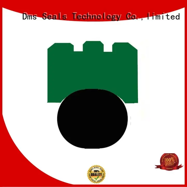 rotary hydraulic rotary shaft seals DMS Seal Manufacturer Brand 1