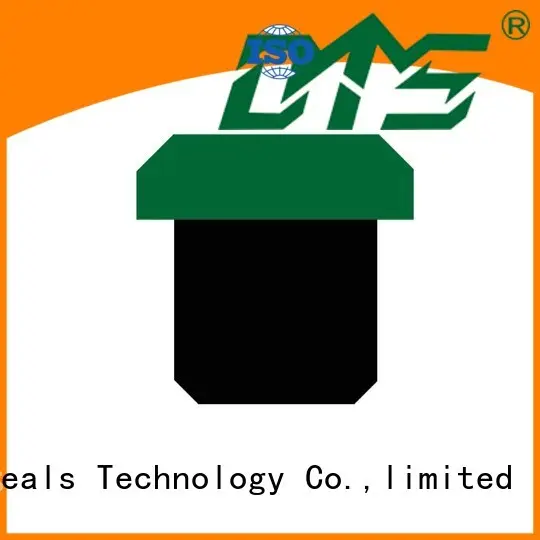 pneumatic piston seals hydraulic ptfe seal Warranty DMS Seal Manufacturer 1