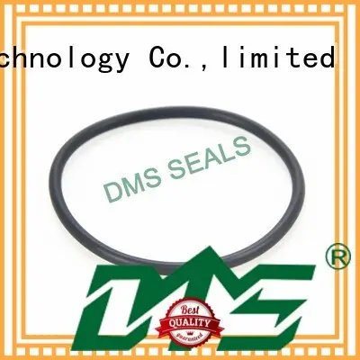 oring spring ptfe hydraulic o-ring seal DMS Seal Manufacturer 1