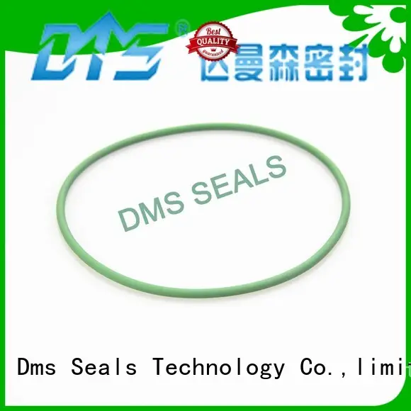 DMS Seal Manufacturer Brand oring seal ptfe o-ring seal 1