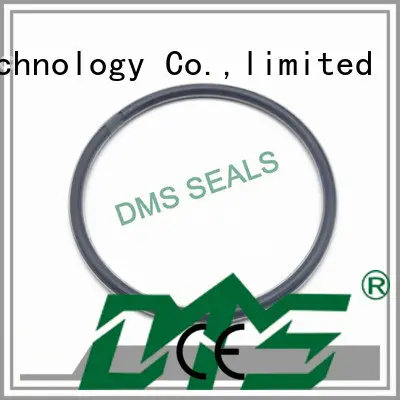hydraulic oring oil seal ring seal DMS Seal Manufacturer company 1