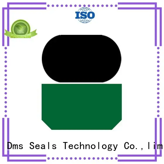 DMS Seal Manufacturer Brand oring seal hydraulic rod seals hydraulic 1