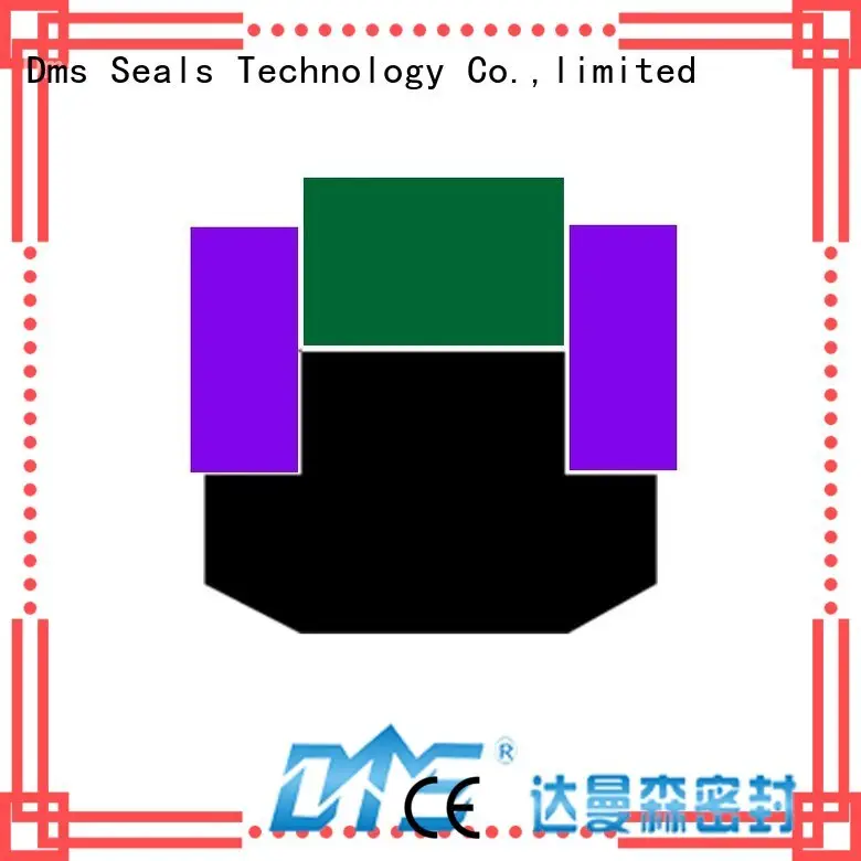 ptfe Custom piston piston seals nbrfkm DMS Seal Manufacturer 1