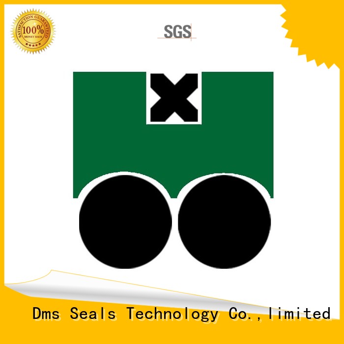 DMS Seal Manufacturer Brand ptfe hydraulic piston piston seals manufacture 1