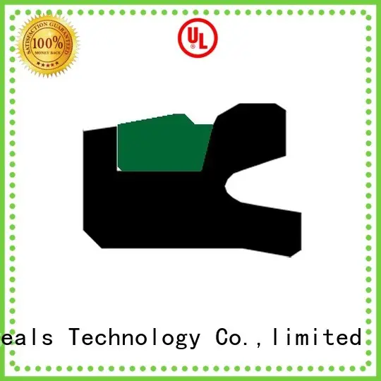 Custom oring hydraulic piston seals DMS Seal Manufacturer nbrfkm 1