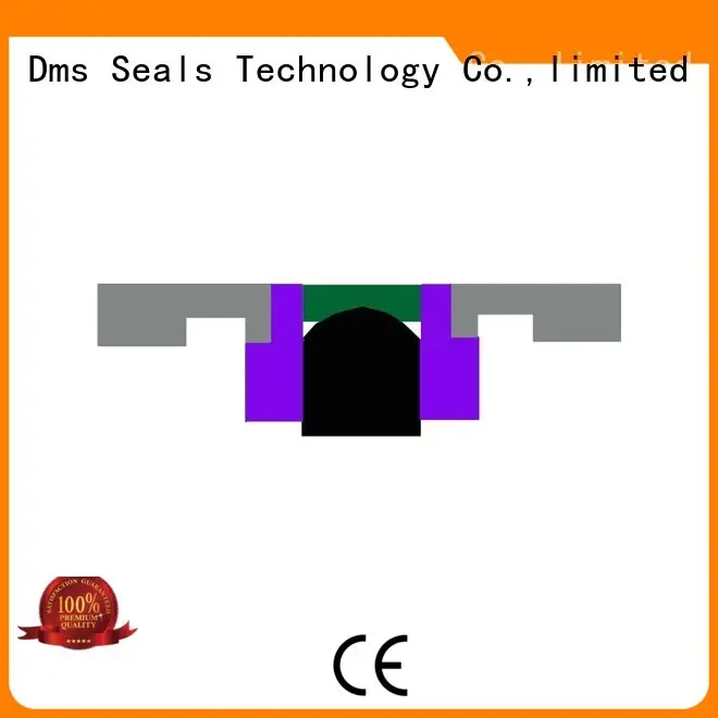 nbrfkm oring piston piston seals seal DMS Seal Manufacturer Brand 1