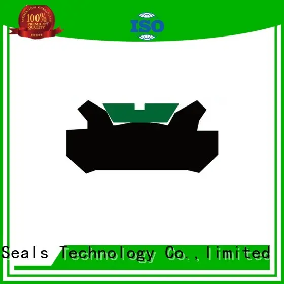 Custom hydraulic piston seals ptfe DMS Seal Manufacturer 1
