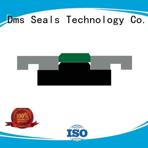 hydraulic nbrfkm piston seals piston DMS Seal Manufacturer Brand company 1