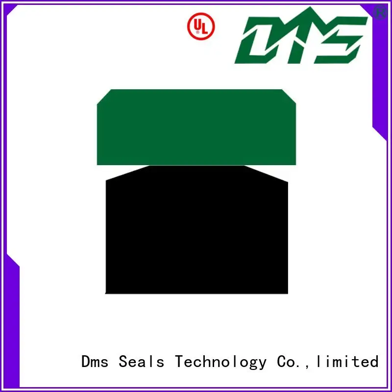 Wholesale piston piston seals DMS Seal Manufacturer Brand 1