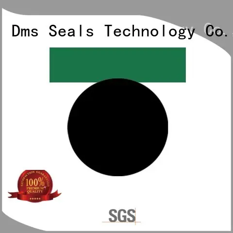 DMS Seal Manufacturer Brand nbrfkm hydraulic ptfe piston seals manufacture 1