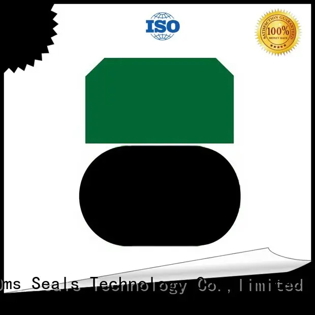 DMS Seal Manufacturer Brand oring piston seal pneumatic piston seals 1