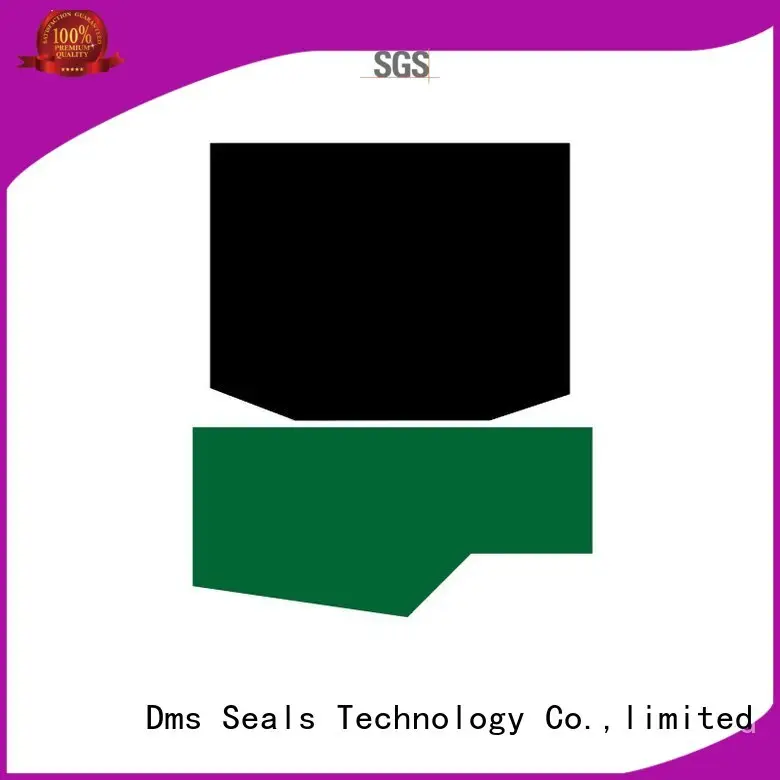 nbrfkm oring hydraulic rod seals DMS Seal Manufacturer Brand 1