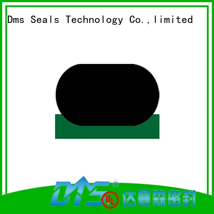 Custom hydraulic seal rod seals DMS Seal Manufacturer nbrfkm 1