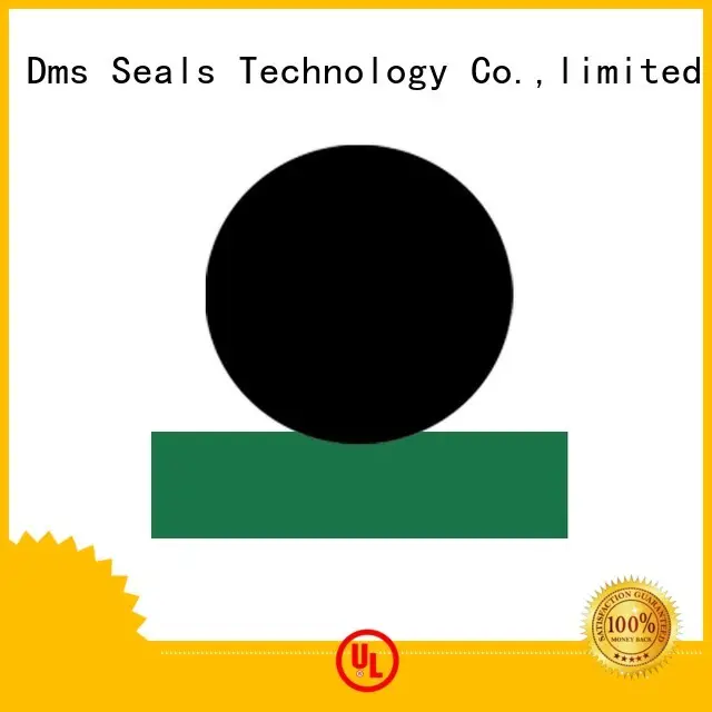 ptfe rod hydraulic DMS Seal Manufacturer Brand rod seals 1