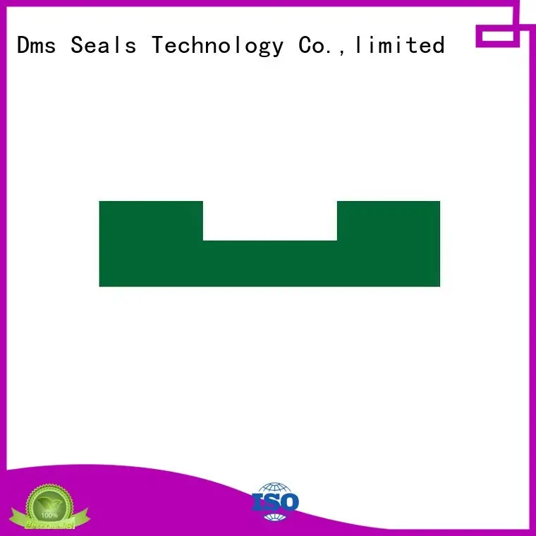 Wholesale bearing oil seal ring nbrfkm DMS Seal Manufacturer Brand 1