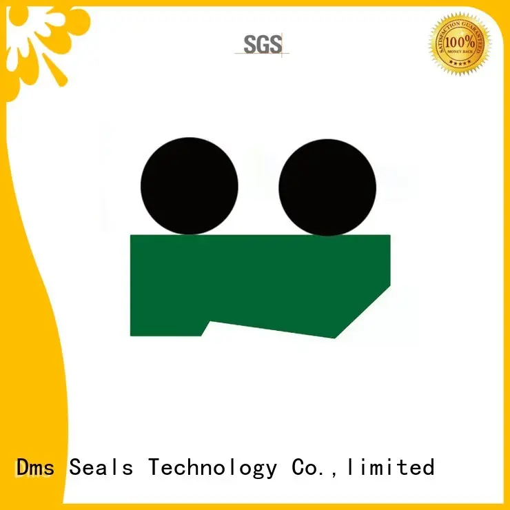 ptfepu nbrfkm scraper seals seal DMS Seal Manufacturer 1