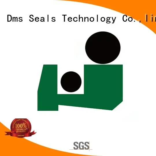 scraper nbrfkm scraper seals hydraulic seal DMS Seal Manufacturer company 1