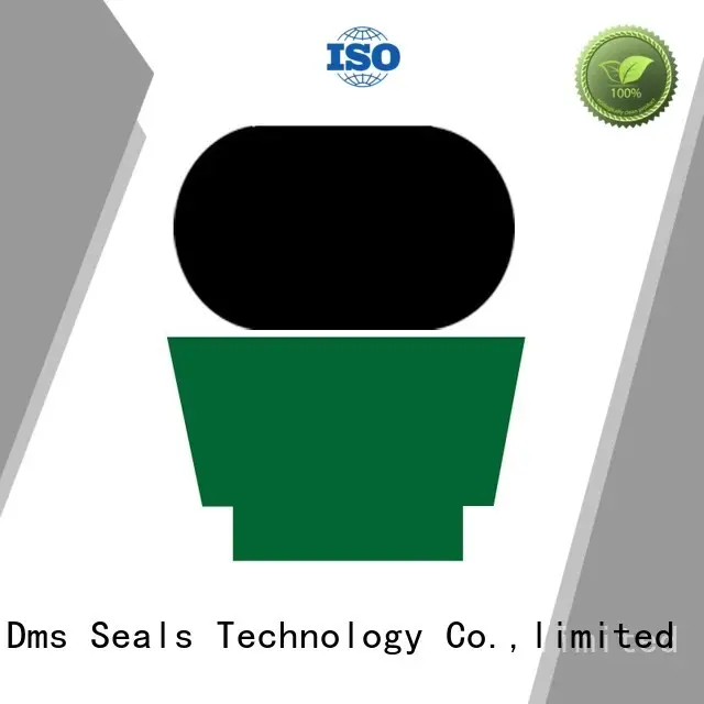 hydraulic rod seals seal rod ptfe rod seals manufacture 1