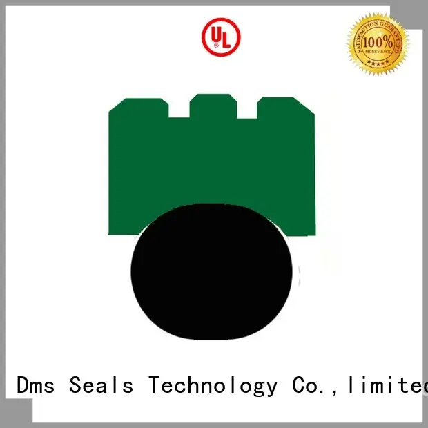 Wholesale rotary rotary shaft seals DMS Seal Manufacturer Brand 1