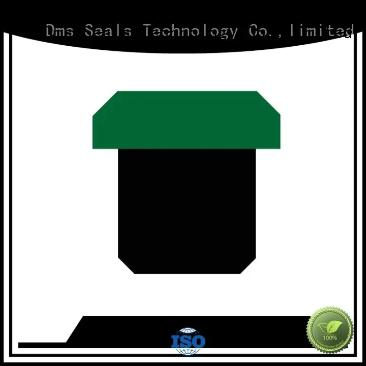 DMS Seal Manufacturer Brand ptfe seal oring pneumatic piston seals nbrfkm 1