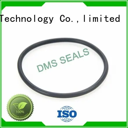 oil seal ring spring ptfe hydraulic DMS Seal Manufacturer Brand 1