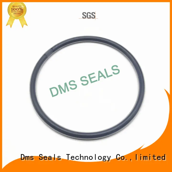DMS Seal Manufacturer Brand spring oil seal ring hydraulic supplier 1