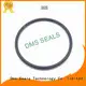 DMS Seal Manufacturer Brand spring oil seal ring hydraulic supplier 1