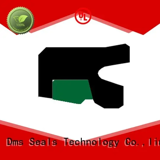 nbrfkm rod seals oring seal DMS Seal Manufacturer company 1