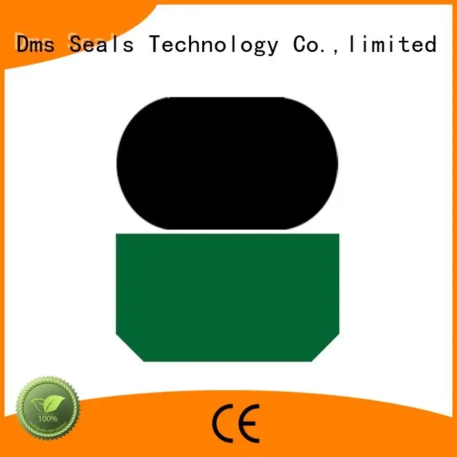 rod nbrfkm seal rod seals DMS Seal Manufacturer Brand 1